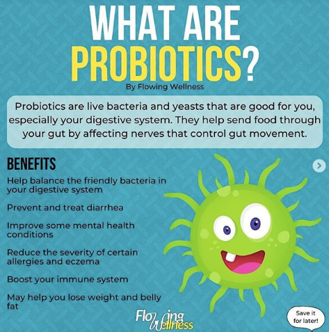 What are probiotics | Good bacteria | Healthy Buzz | Malahide, Dublin