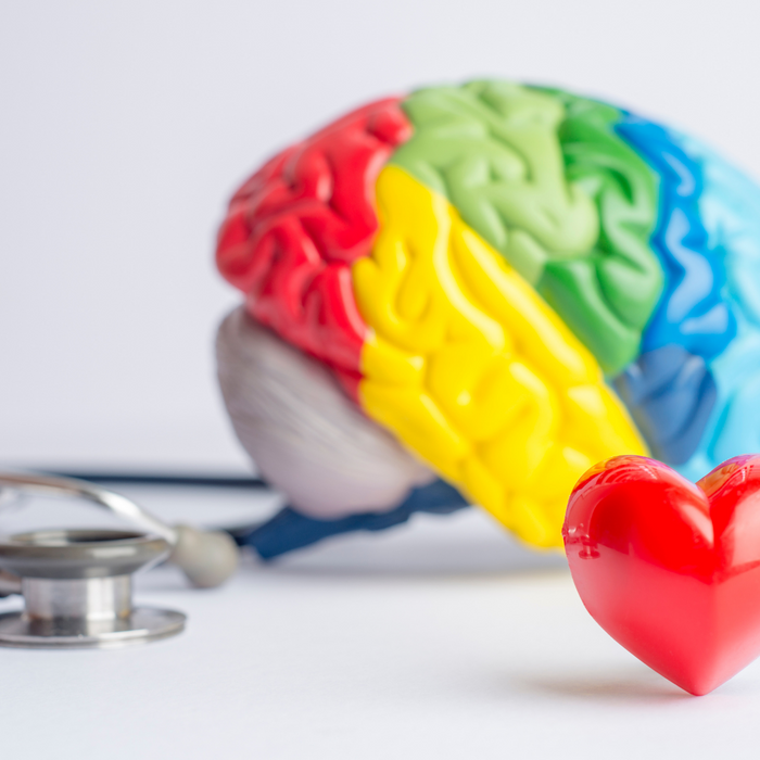 Why is Brain Health Important?