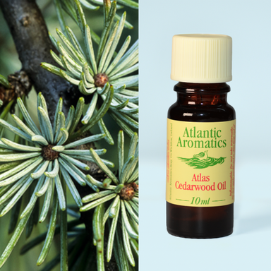 Atlantic Aromatics - Cedarwood Organic 3x10ml