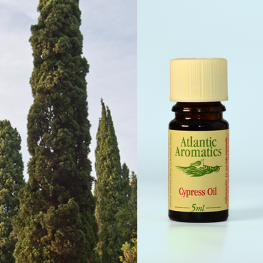 Atlantic Aromatics - Cypress Organic 3x5ml