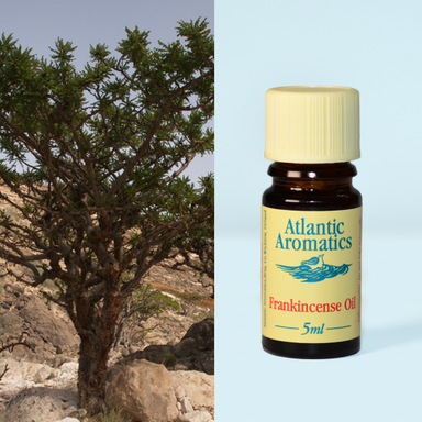 Atlantic Aromatics	Frankincense Wild 3x5ml