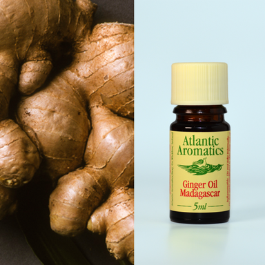 Atlantic Aromatics Ginger (Org)n 3x5ml