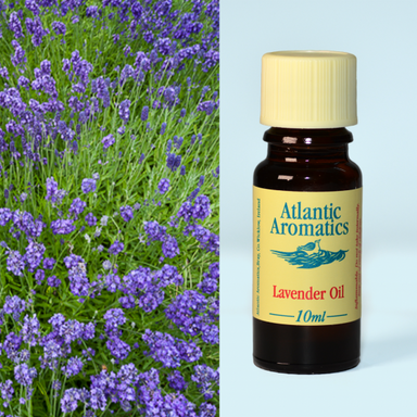 Atlantic Aromatics Lavender 3x10ml