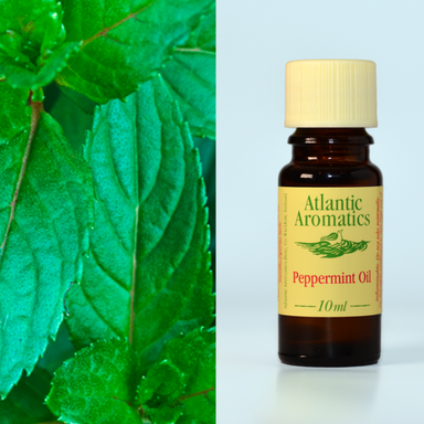 Atlantic Aromatics	Peppermint (Org)	3x10ml