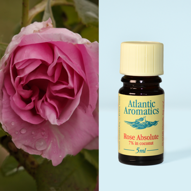 Atlantic Aromatics	Rose Absolute 7%	3x5ml