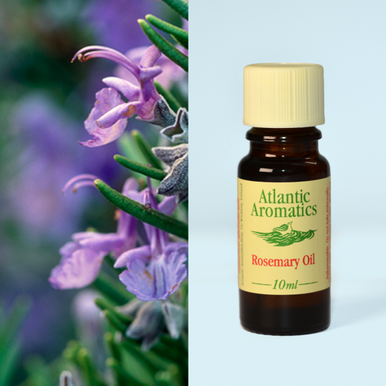Atlantic Aromatics	Rosemary Oil (Org)	3x10ml