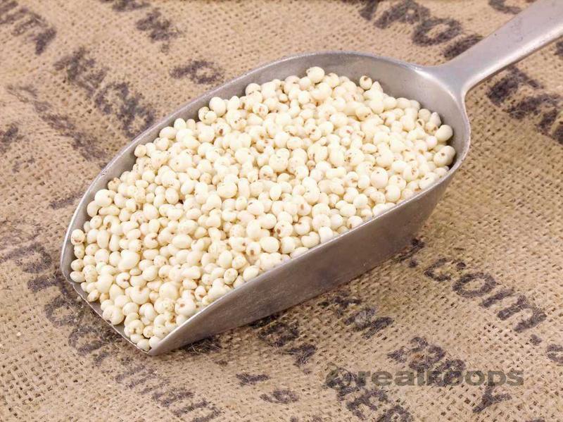Bulk Cereals - Millet Puffs (Org) 1x10kg