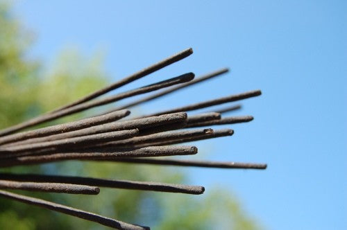 Earthworks Incense Sticks Lemongrass 6x10 pieces