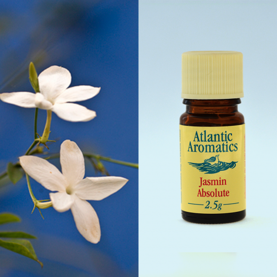 Atlantic Aromatics Jasmin Absolute 2.5g