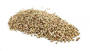 IND Bulk Organic - IND Buckwheat Raw (Org) 1x5kg